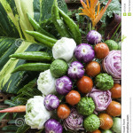 bella-verdura-26752638