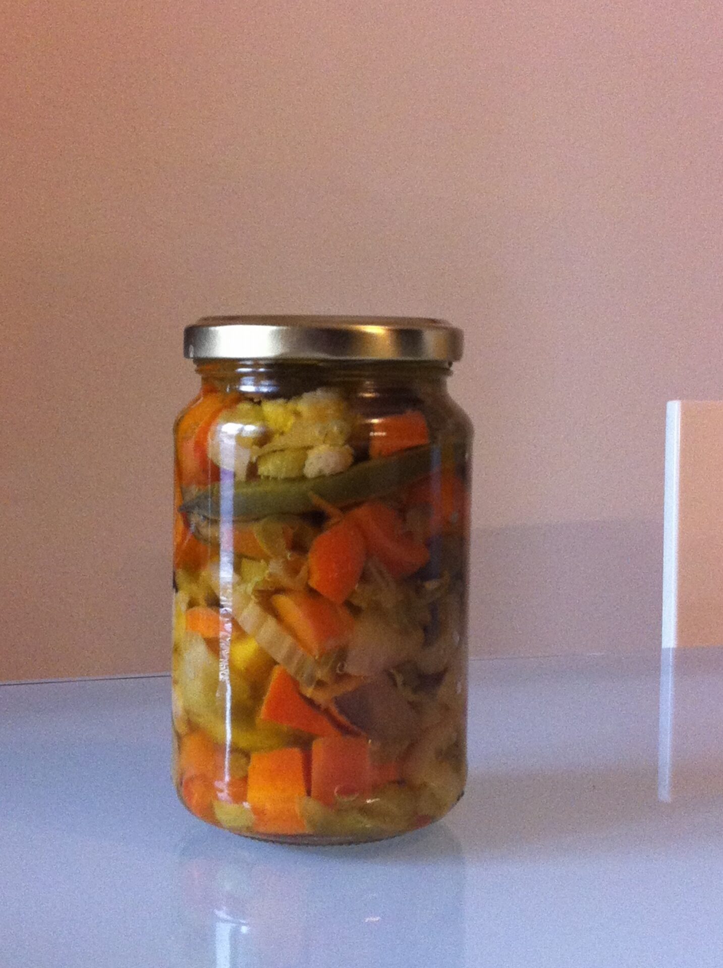 Giardinera ingasata